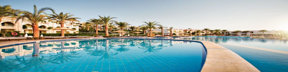 Guest Relation Officer at Sunrise Resorts & Cruises